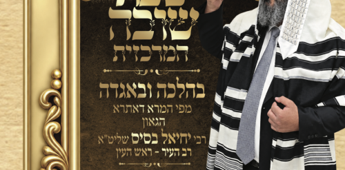 צילום מסך 2026-09-19 ב-22.32.10
